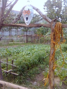 This is Don Domeng's vegetable patch. Look at the logo at the entrance!